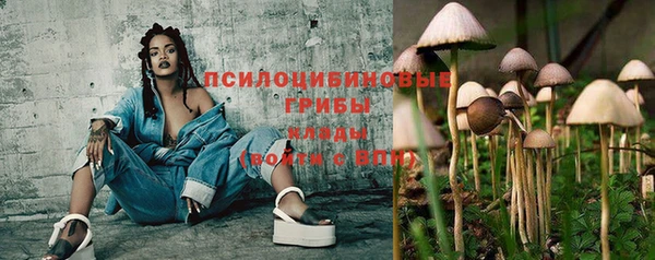 мдпв Армянск