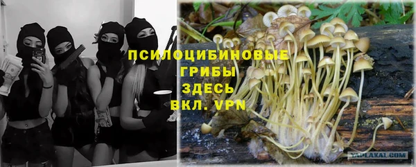 мдпв Армянск