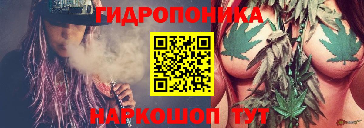 Чайковский  Конопля гибрид  Марихуана MAZAR  Шишки марихуана ГИДРОПОН  Вход с VPN 